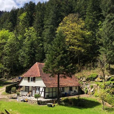 Waldbauernhof Apartment Hornberg Luaran gambar