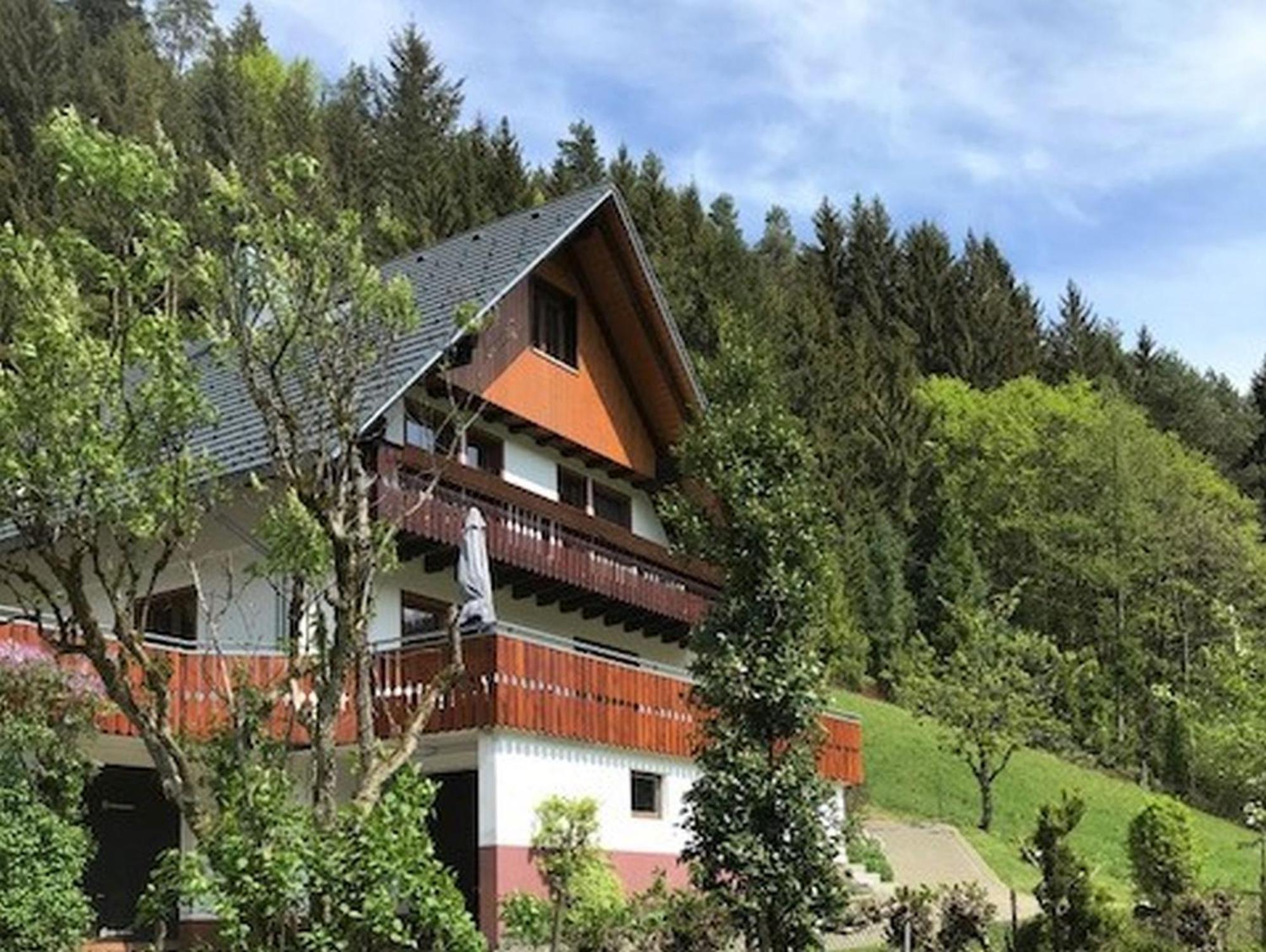 Waldbauernhof Apartment Hornberg Luaran gambar