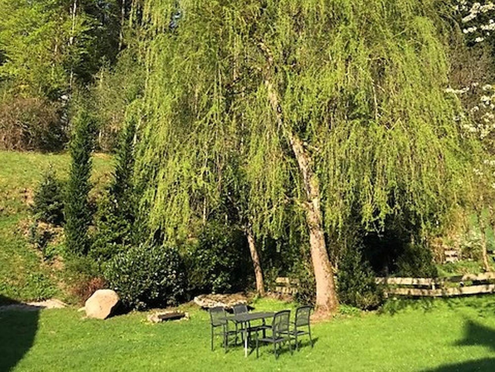 Waldbauernhof Apartment Hornberg Luaran gambar