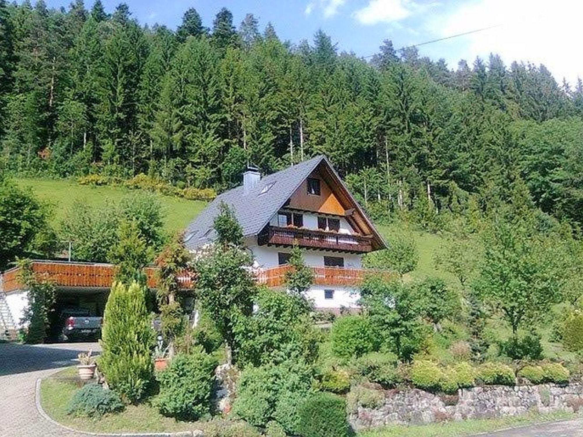 Waldbauernhof Apartment Hornberg Luaran gambar