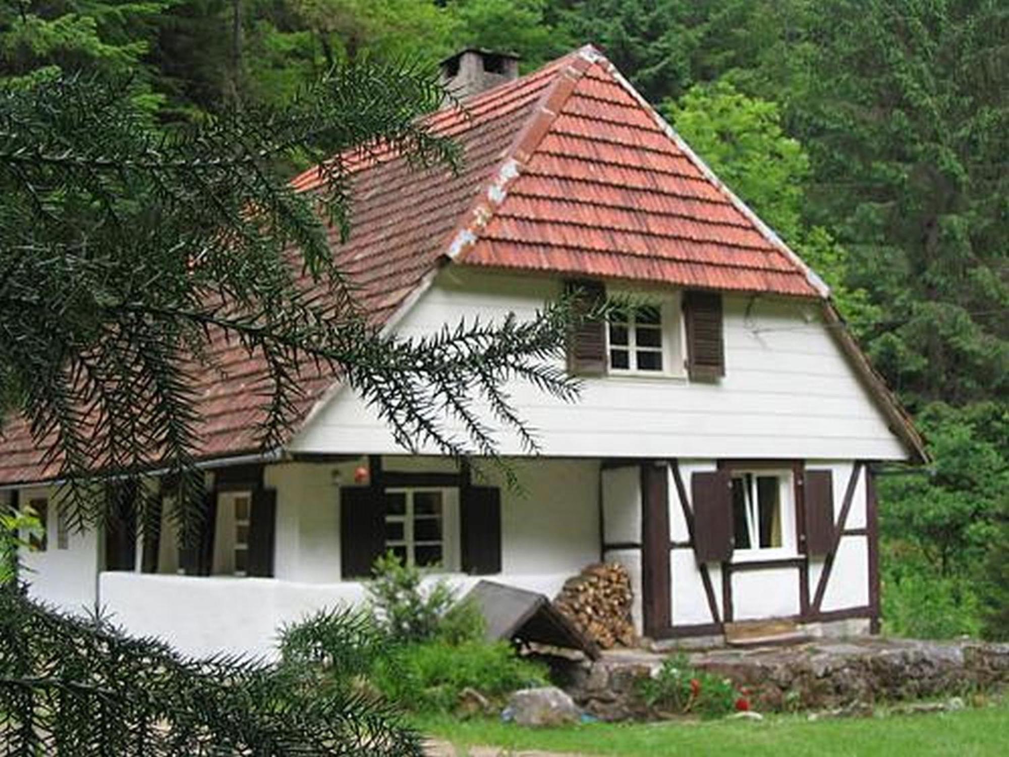 Waldbauernhof Apartment Hornberg Luaran gambar