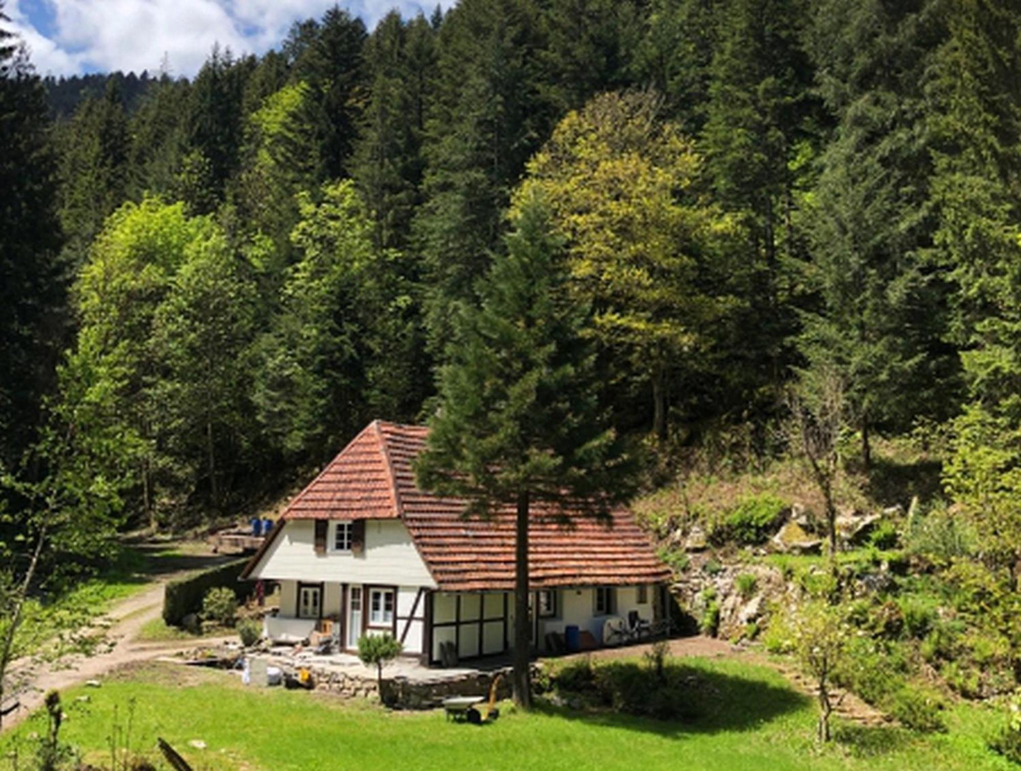 Waldbauernhof Apartment Hornberg Luaran gambar