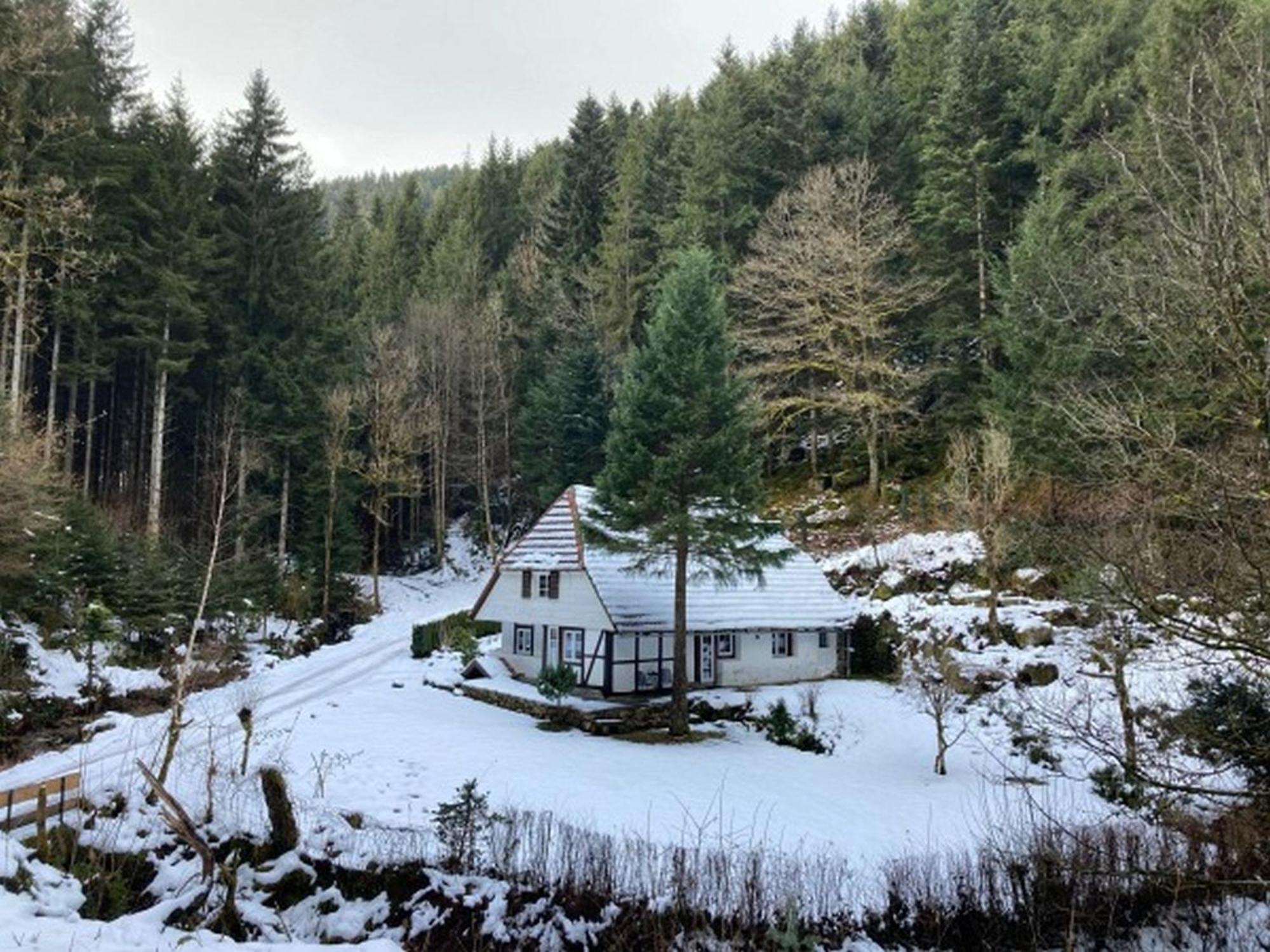 Waldbauernhof Apartment Hornberg Luaran gambar