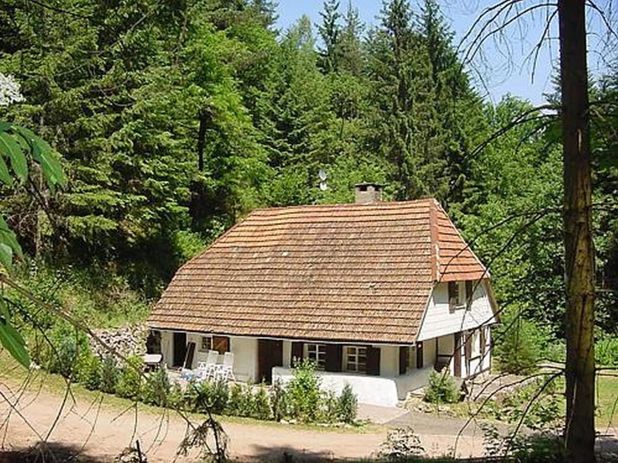 Waldbauernhof Apartment Hornberg Luaran gambar