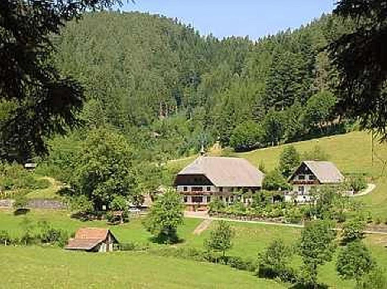 Waldbauernhof Apartment Hornberg Luaran gambar