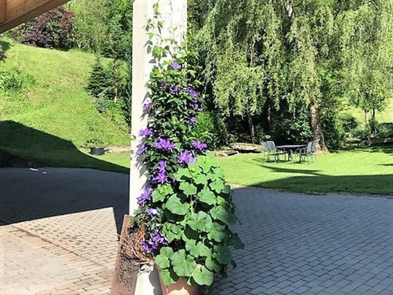 Waldbauernhof Apartment Hornberg Luaran gambar